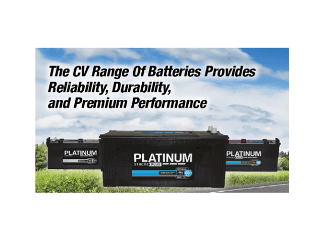 Platinum batteries