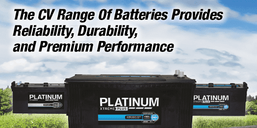 Platinum battery